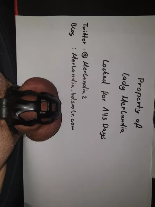 143 days and no end my Lady is looking for New slaves by chopono