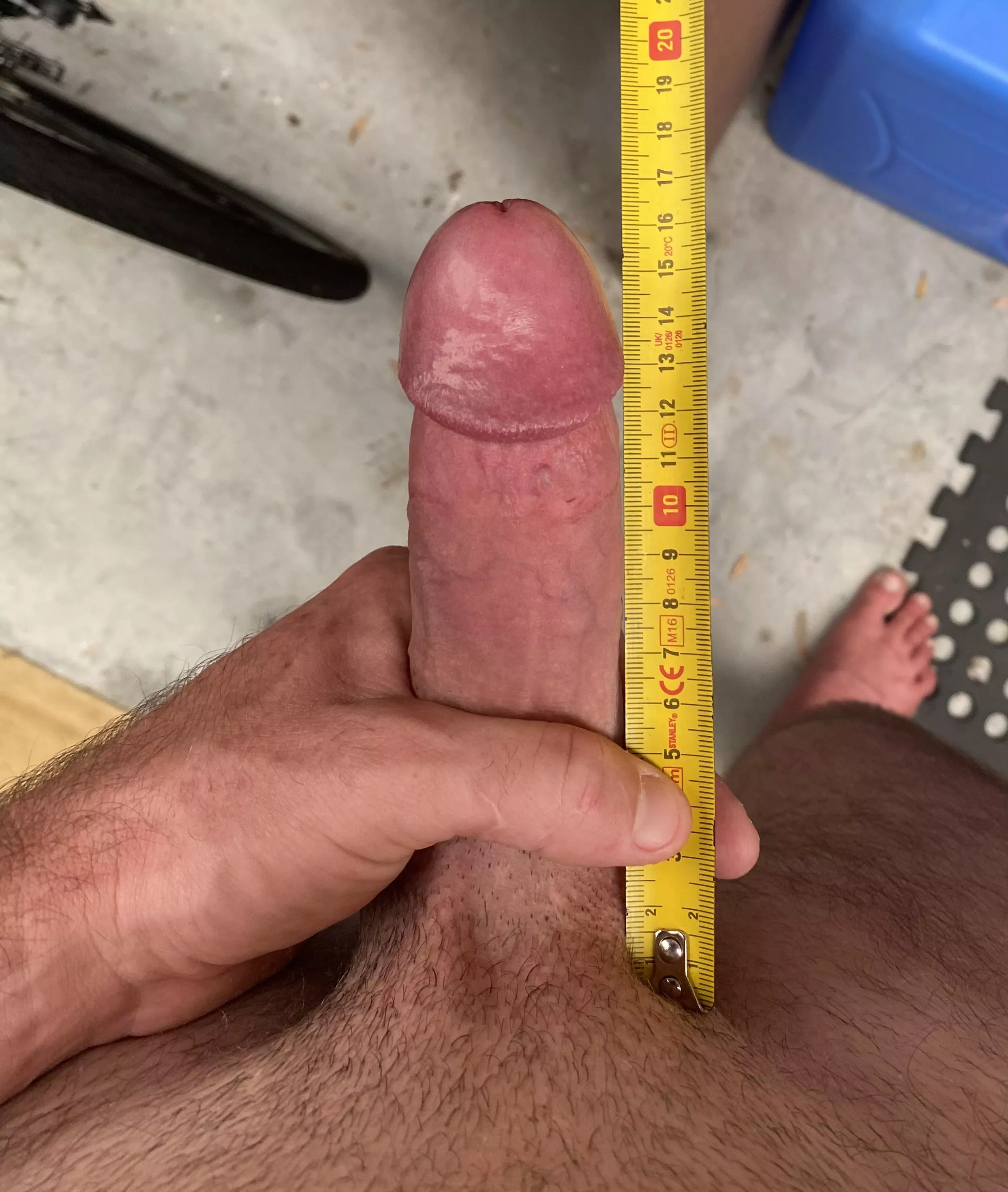 16 long x 15 girth posted by BodaciousChoices