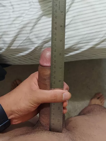 16.7 cm 6.6 inches 22 years old,5'9 height by Warm_Veterinarian_42