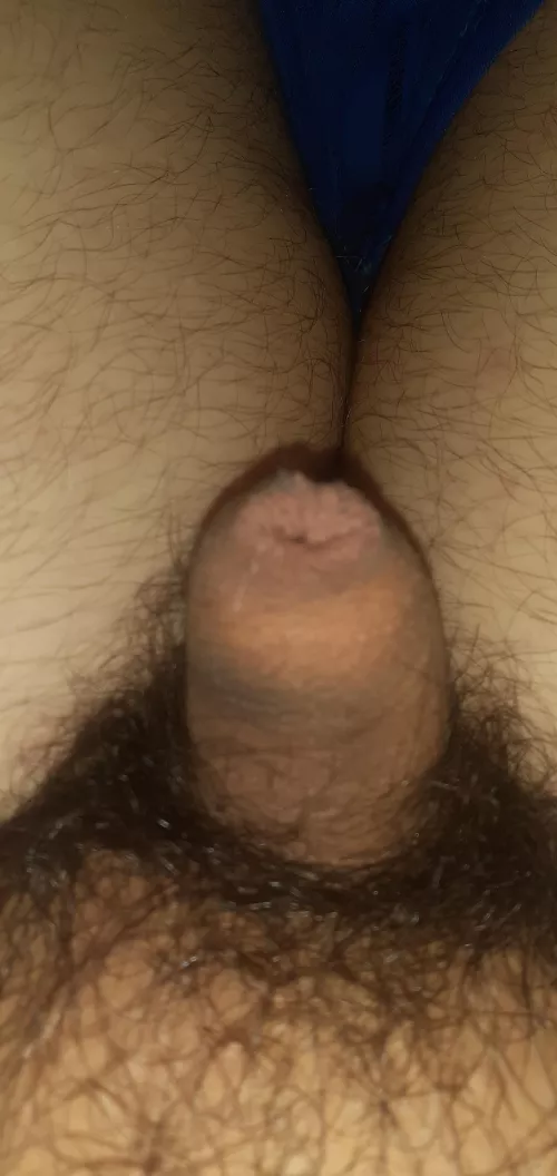 (18) Brazil ? by ComprehensiveRope652