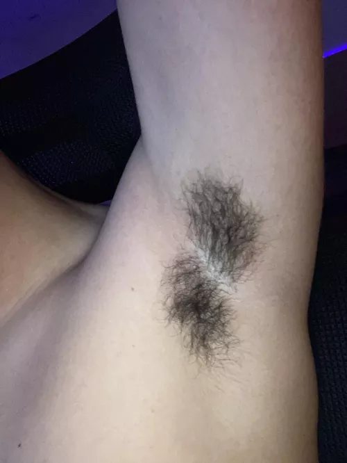 (18) do you like them? by adriancm5