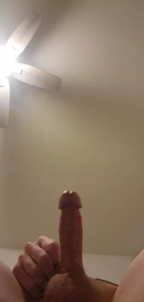 [18] from below by letsjerkofftg