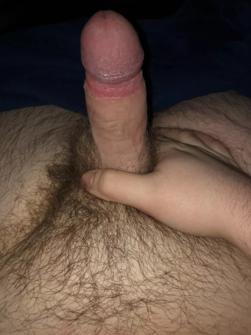 (18) good morning by ReadyAd2408