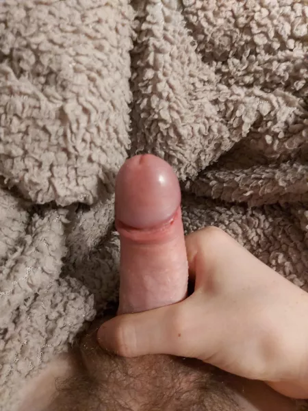 (18) Is this an ok size, or is it pretty small? Also I just shaved it. by Pretty_Small_Dong98