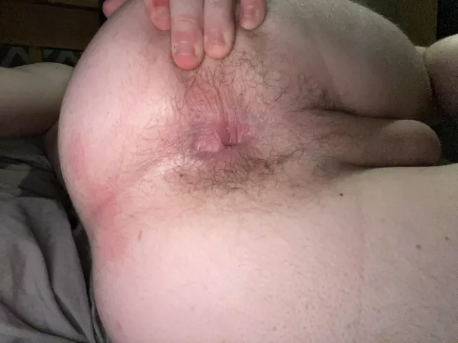 (18) M need an owner for christmas by BisexualSissy345