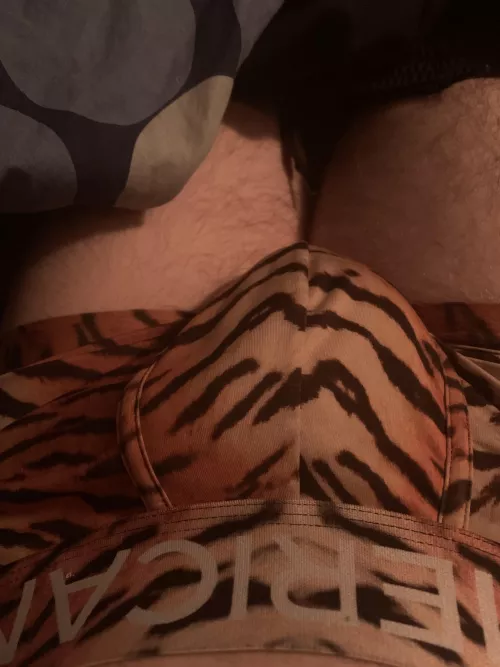 18 male switch looking to trade and what not HMU if interested by Sojuro__