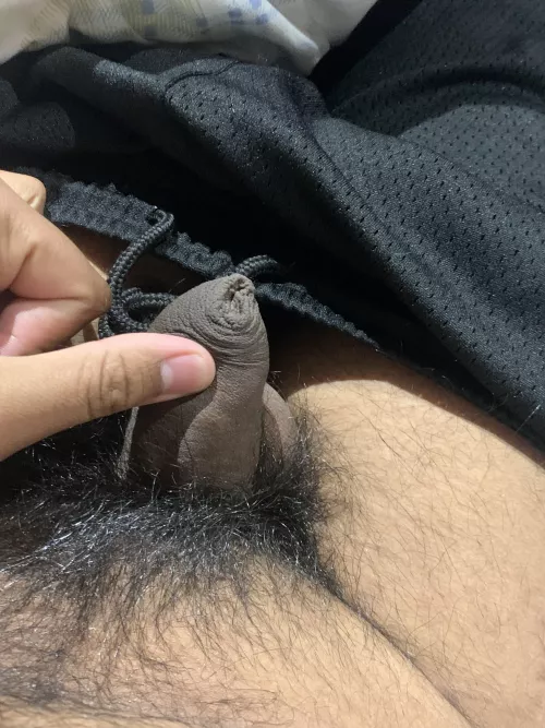 [18] My erect 1.5” cock😂 by No-Cheesecake2118