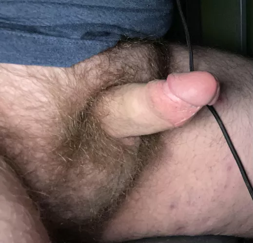 [18] my ugly dick by Aware_Bandicoot5474