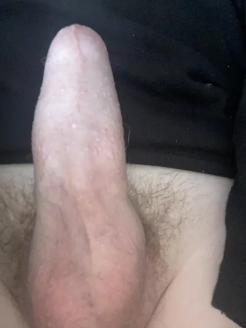 [18] pm me Help me with my morning wifi and I’ll cum on anyone you want by SubstantialStill2379
