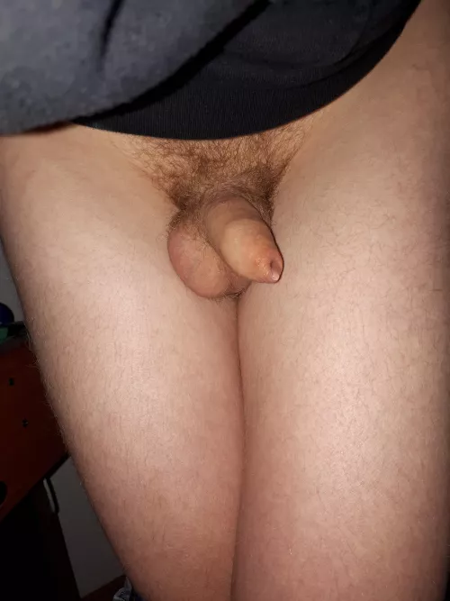 [18] :) by AmeisenIgelChen