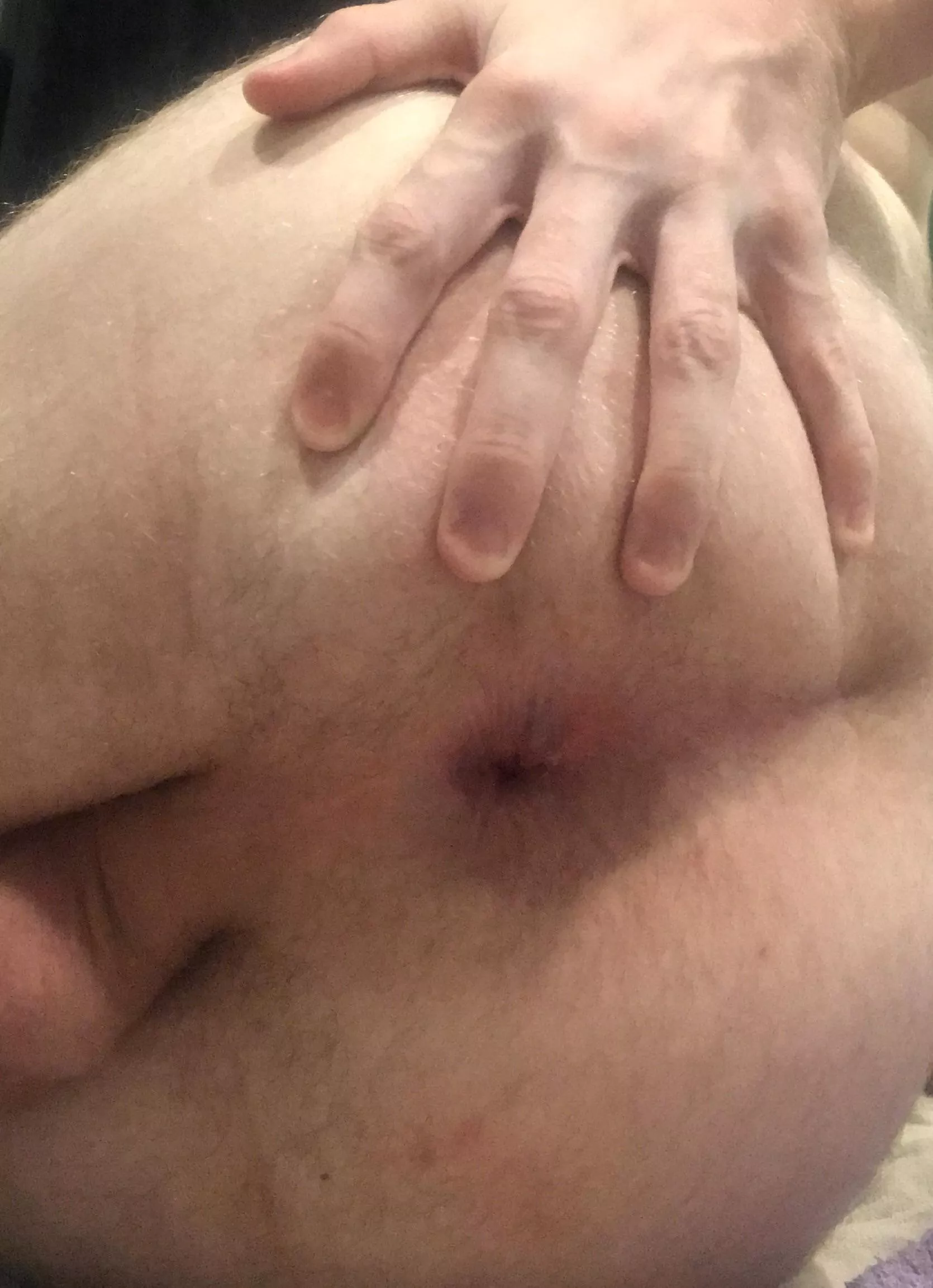 (18) someone come fill my ass 💦 posted by NearbyIntroduction78