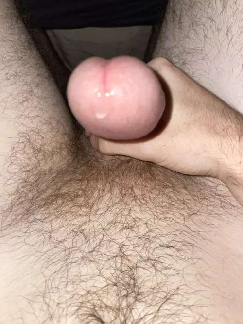 18 virgin by Knewroyal