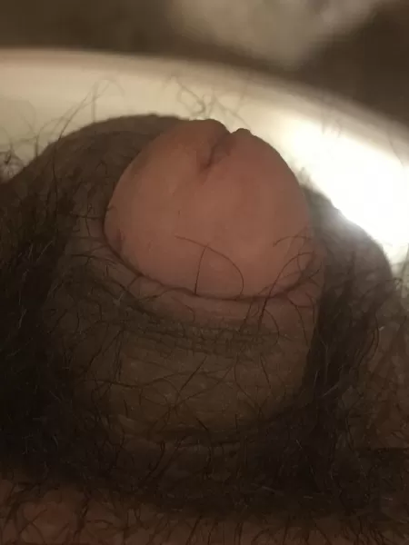 (18) wanna see it hard? by Interesting_Tear_841