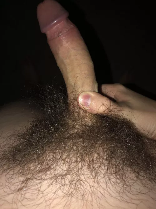 18 What do you think of my bush? by saml206