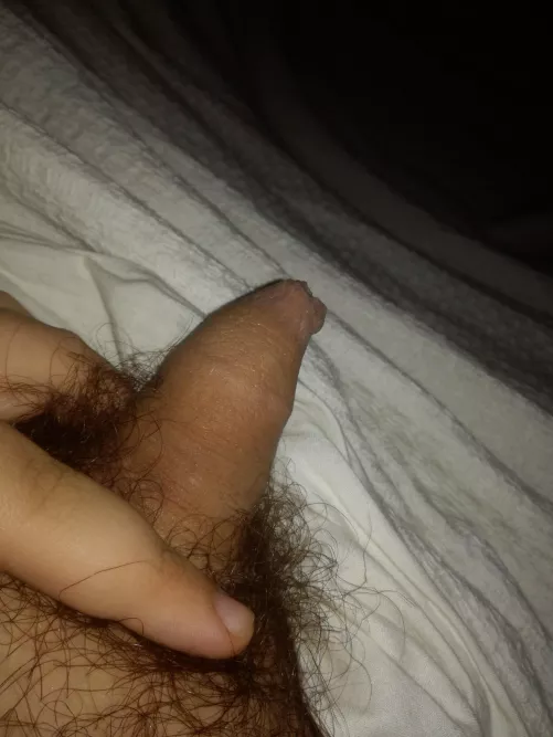 [18] Who likes my tiny phimosis dick? by Accurate_Scratch_286