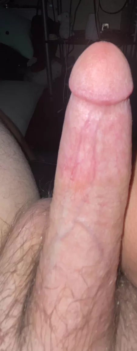 18,10 1/2 in by Pp2307