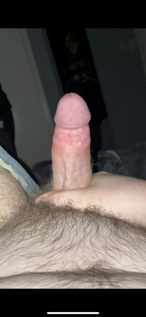 [18]Any rates? by Codarino_