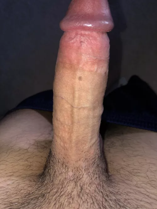 18m 7.5 inch muscular by fit_boy22