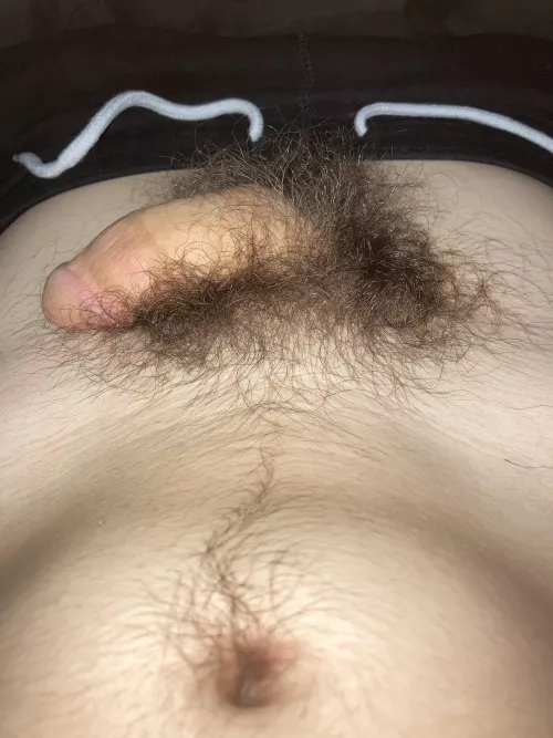 18M Got some morning pubes, would you help give me a morning wood? by CthonicSmiles08