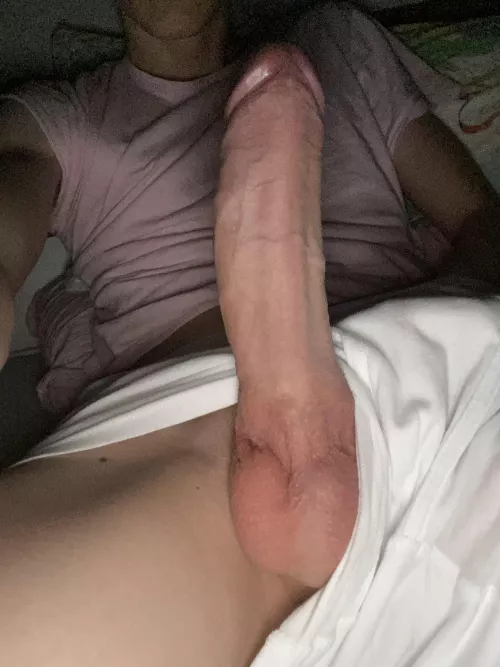 18yo cock by sh0w1ng0ff