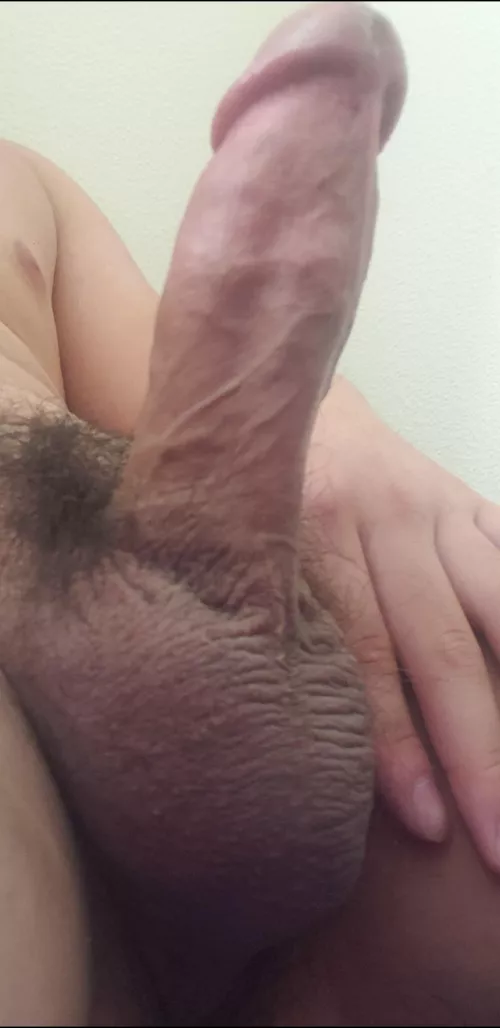 19 Asian. What do u think? by Aromatic_Eye_4790