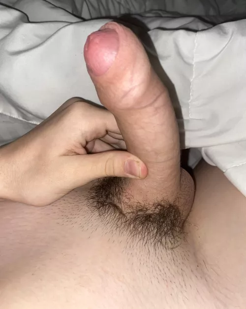 [19] cute? (pm me im bored) by sethfem