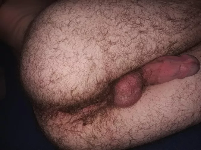 (19) I hope this will brighten up your morning by BillyKriener123