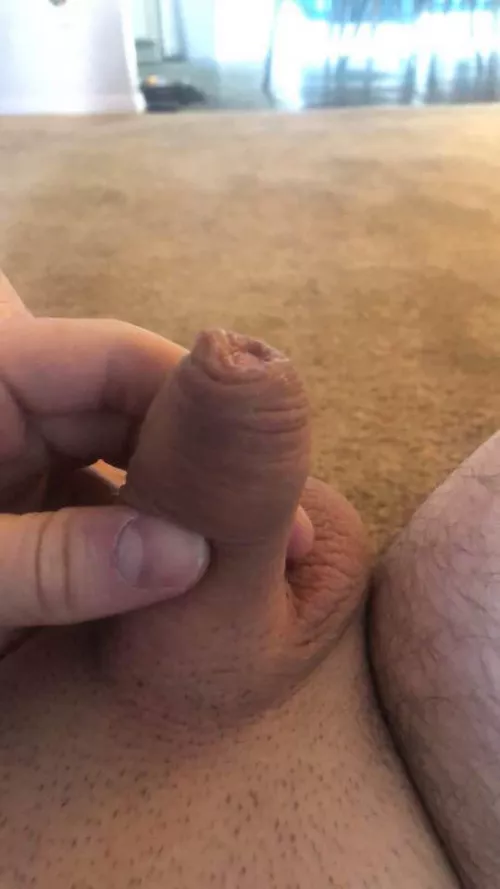 [19] if you like it dm me (: by Anon129083