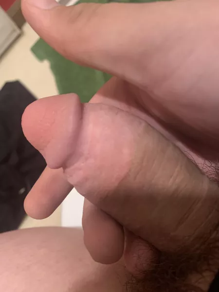 [19] Lil guy wants to say hi by Puzzled-Community-75