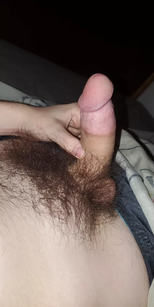 (19) Love how hairy my cock is. Sub to my OF to see what I can do with it🤪 by Hairyboi18