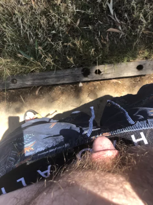 [19] M :) backyard by ImVeryNewTooThis