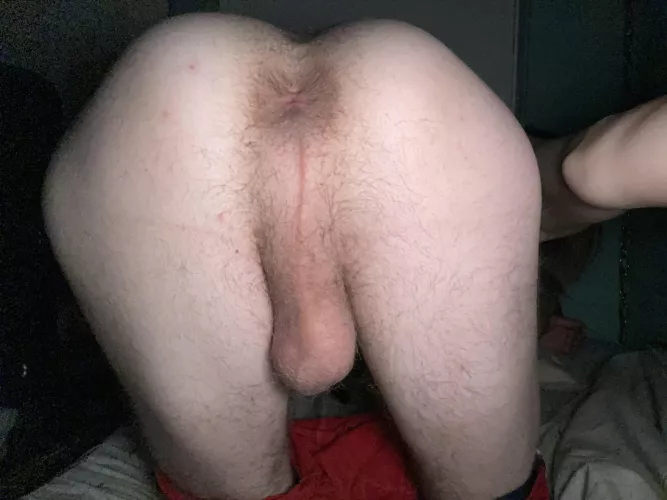 19 m idk if i belong here but alway down to talk by --boreddd--