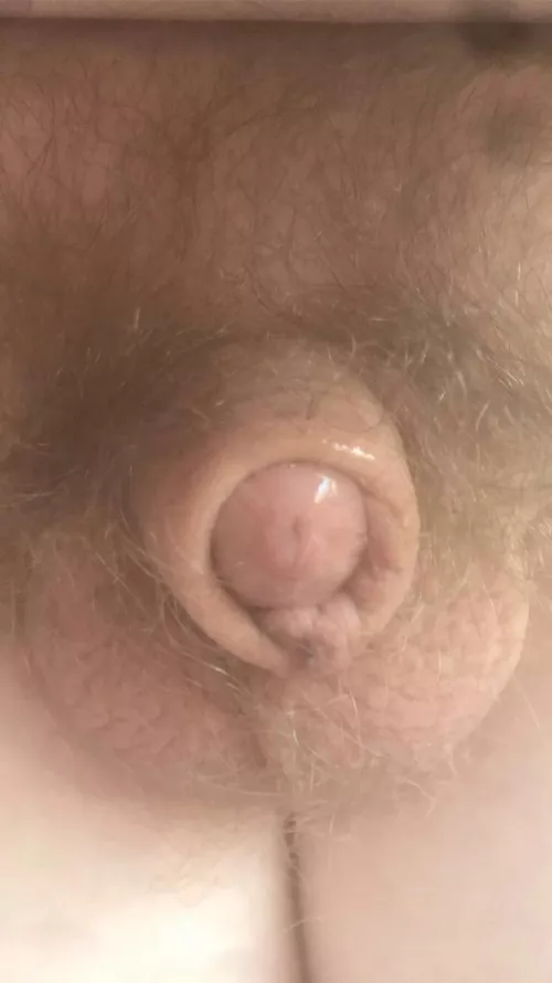 [19] My little dick. by tinydickmatt