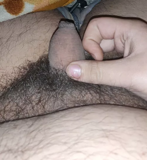 (19) my tiny dick dms are open by Chub3180