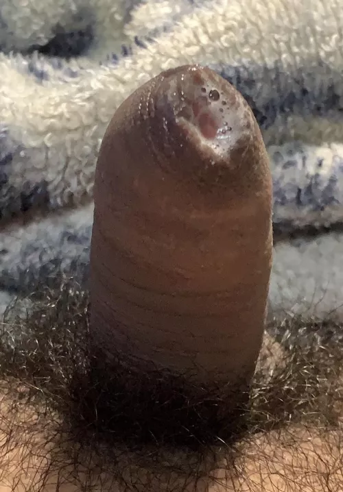 [19] should I trim?? by Character_Job_9617