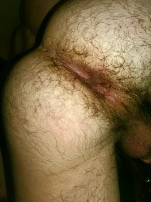 (19) Who wants in this hairy hole? by Hairyboi18