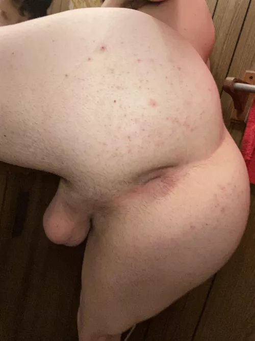 (19) would you give me a Christmas cream pie by Independent-Dream330