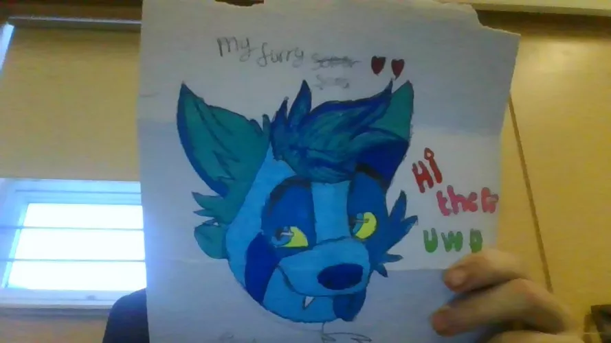 1st Time drawing my fursona What do you think by Goldforce1066