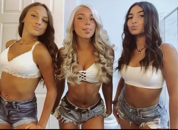 2 brunettes and a blonde by dannyprovolone13