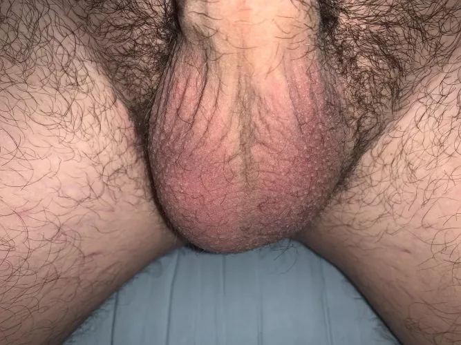 (20) anyone want to suck on a college guy’s balls? by besteffort1