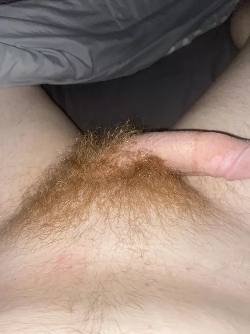 [20] feeling hairy rn. by RedDevon6