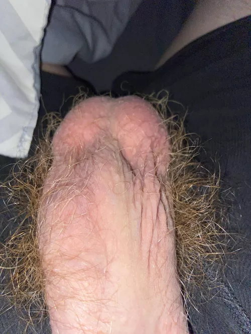 [20] I just want someone to acknowledge me :( by RedDevon6