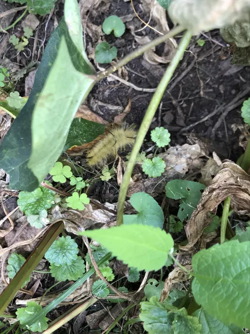 20 [m4f] chances are no one will see or add but hey hmu if ya chill jake_yate21 ;) by chadbrian7