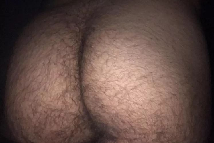 20 vers arabe snap: ryanvers.20 by Inevitable-Manager-6