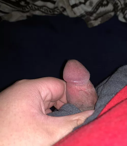 [20] Who wants to suck my small virgin cock until I cum? by throwaway4478905