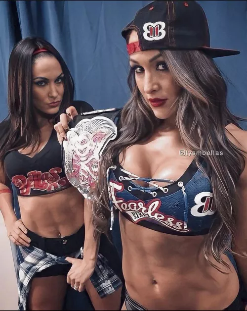 2015 Bella Twins 🔥 by Pinski9