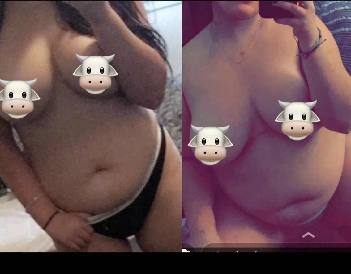 2017 to 2021 posted by cowthickjay