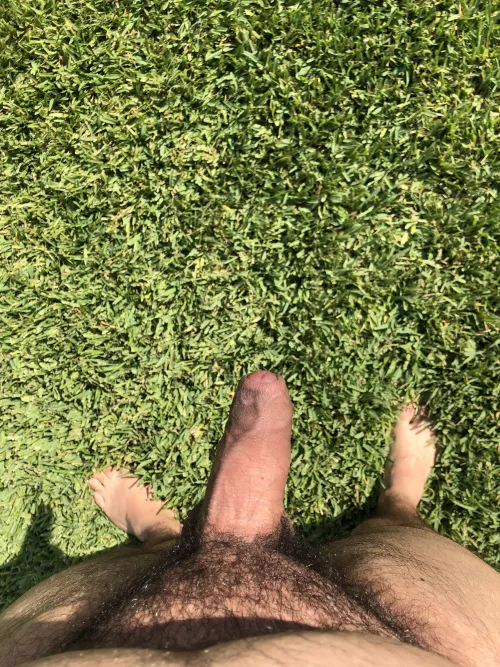 (20)Getting some sun ☀️ by BridgeTown2001