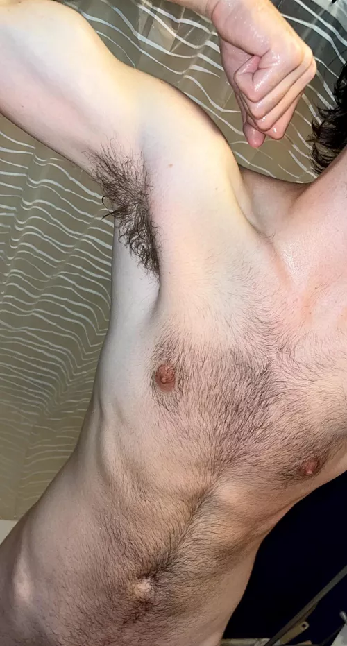 20M. Hairy twink. Regrowing after shaving it 2 months ago. by Few-Builder-899
