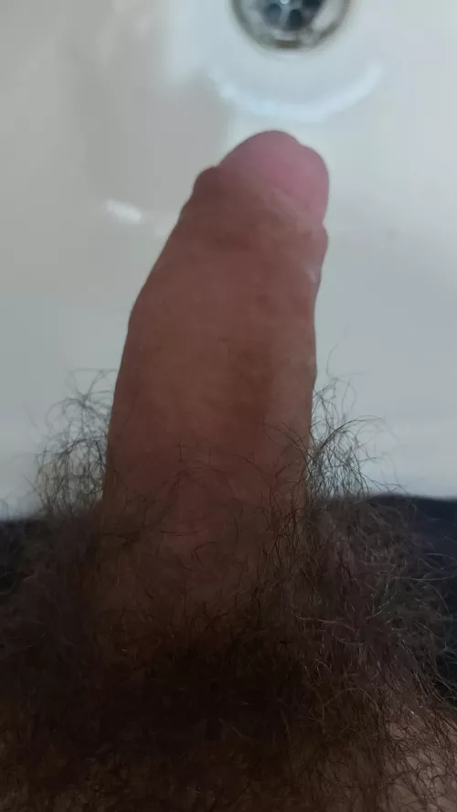 21 Bi. So horny rn. Dm open by evengreen234